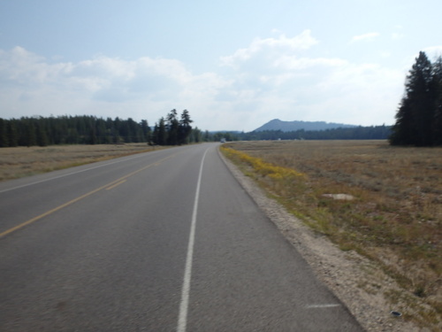 GDMBR: Cycling through an open field.